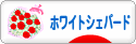 にほんブログ村 犬ブログ ホワイトシェパードへ