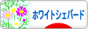 にほんブログ村 犬ブログ ホワイトシェパードへ
