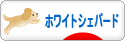 にほんブログ村 犬ブログ ホワイトシェパードへ