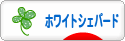 にほんブログ村 犬ブログ ホワイトシェパードへ