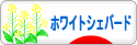 にほんブログ村 犬ブログ ホワイトシェパードへ