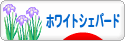 にほんブログ村 犬ブログ ホワイトシェパードへ