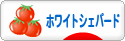 にほんブログ村 犬ブログ ホワイトシェパードへ
