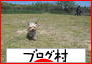 にほんブログ村 犬ブログ ヨークシャーテリアへ