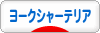 にほんブログ村 犬ブログ ヨークシャーテリアへ
