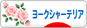 にほんブログ村 犬ブログ ヨークシャーテリアへ