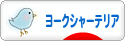 にほんブログ村 犬ブログ ヨークシャーテリアへ
