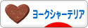 にほんブログ村 犬ブログ ヨークシャーテリアへ