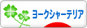 にほんブログ村 犬ブログ ヨークシャーテリアへ