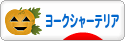 にほんブログ村 犬ブログ ヨークシャーテリアへ