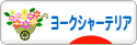 にほんブログ村 犬ブログ ヨークシャーテリアへ