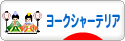 にほんブログ村 犬ブログ ヨークシャーテリアへ