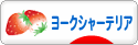 にほんブログ村 犬ブログ ヨークシャーテリアへ