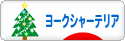 にほんブログ村 犬ブログ ヨークシャーテリアへ