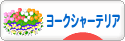 にほんブログ村 犬ブログ ヨークシャーテリアへ