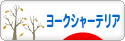 にほんブログ村 犬ブログ ヨークシャーテリアへ