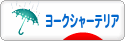 にほんブログ村 犬ブログ ヨークシャーテリアへ