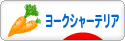 にほんブログ村 犬ブログ ヨークシャーテリアへ