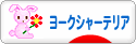 にほんブログ村 犬ブログ ヨークシャーテリアへ