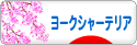 にほんブログ村 犬ブログ ヨークシャーテリアへ