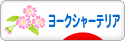 にほんブログ村 犬ブログ ヨークシャーテリアへ