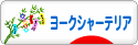にほんブログ村 犬ブログ ヨークシャーテリアへ