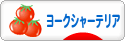 にほんブログ村 犬ブログ ヨークシャーテリアへ