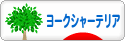 にほんブログ村 犬ブログ ヨークシャーテリアへ