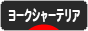 にほんブログ村 犬ブログ ヨークシャーテリアへ