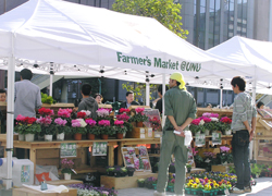 farmarsmarket-b.jpg