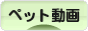 にほんブログ村 動画紹介ブログ ペット動画へ