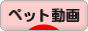 にほんブログ村 動画紹介ブログ ペット動画へ
