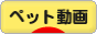 にほんブログ村 動画紹介ブログ ペット動画へ