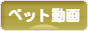 にほんブログ村 動画紹介ブログ ペット動画へ
