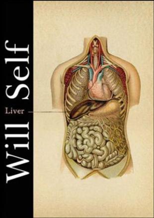 Aaron H's anatomy review flashcards |.