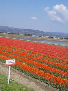 2014-04-23 09.39.12.jpg