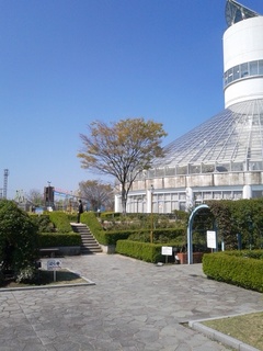 2014-04-24 09.20.27.jpg