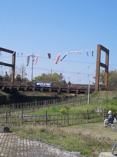 2014-04-24 09.23.41.jpg