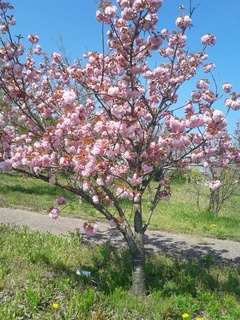 2014-04-24 09.27.13.jpg