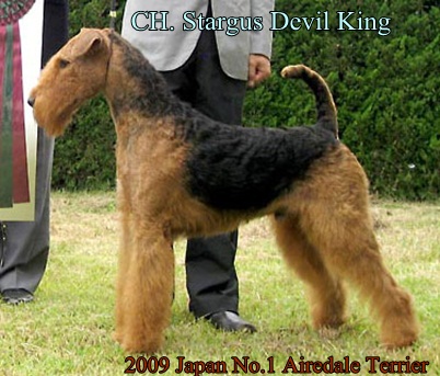 king1.jpg