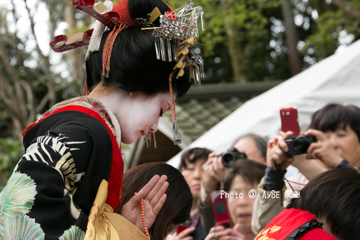 吉野太夫花供養