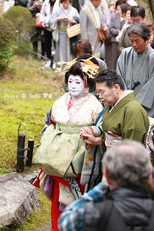 吉野太夫花供養