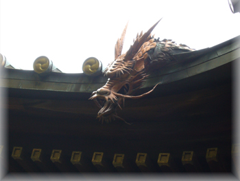å¢ååç11