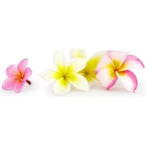 プルメリア・ナチュラルリードディフューザー・マリエオーガニクス