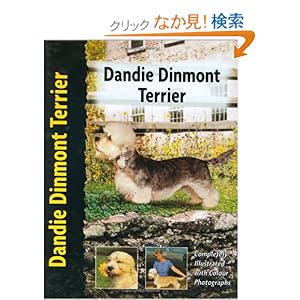 Dandie Dinmont Terrier (Pet love)
