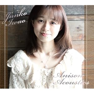 Anison Acoustics
