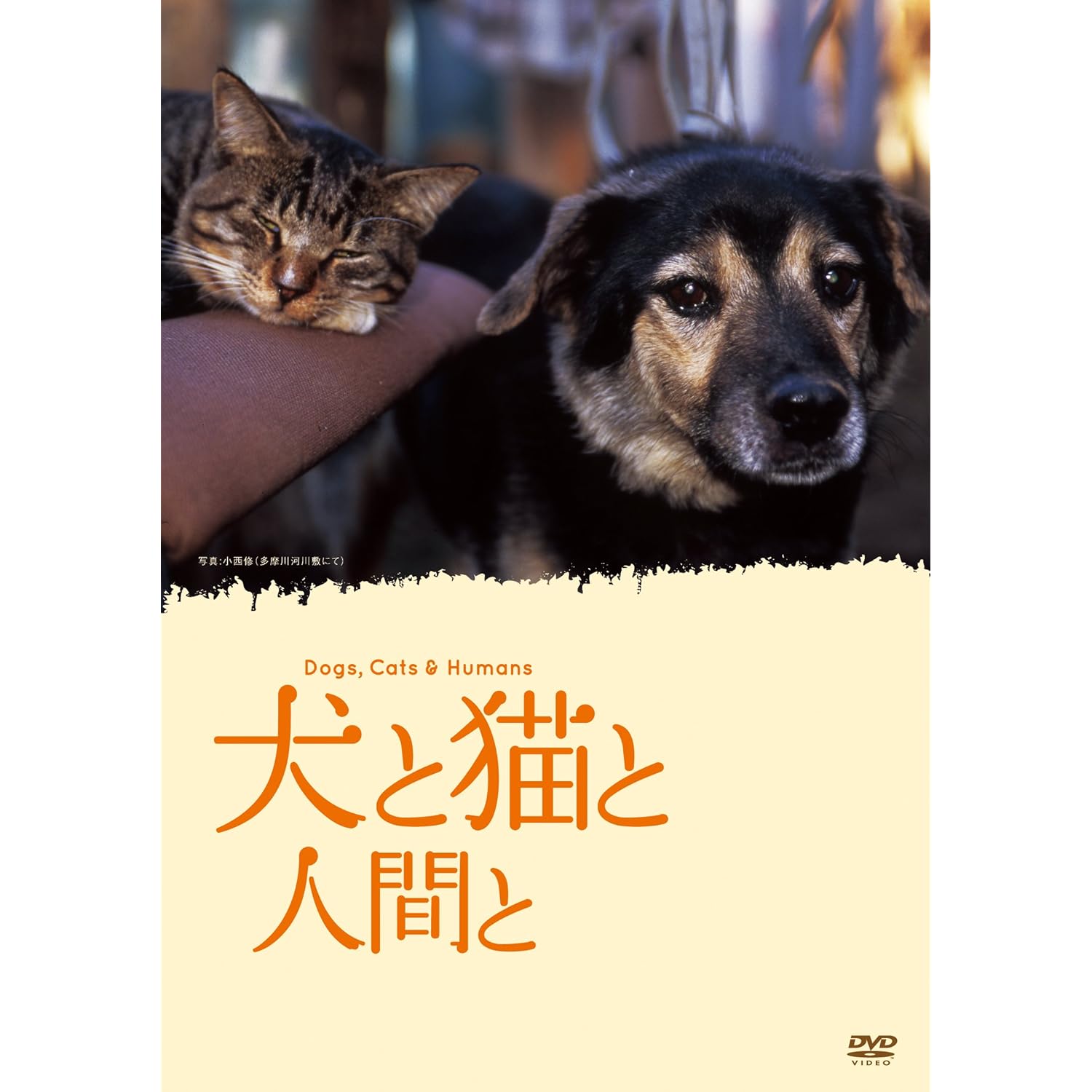 おすすめ映画 犬と猫と人間と もちまい Lohasな自由人のブログ