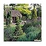 British Country Gardens 2007 Calendar (Calendar)