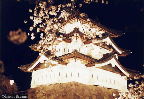 弘前城天守閣・夜桜