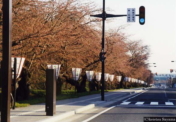 2004年4月15日に陸奥新報の向かいから撮影